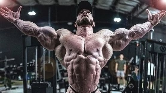 Steroide für eine schnellere und bessere Muskelregeneration beim Bodybuilding